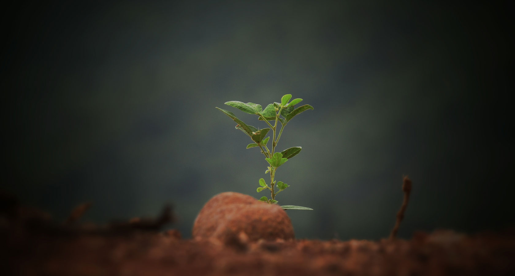 壹定发(中国游)最新官方网站